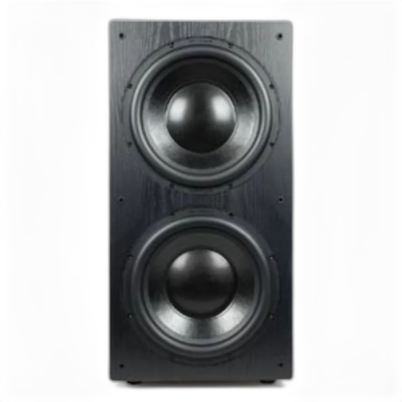 L22 Direct Servo subwoofer