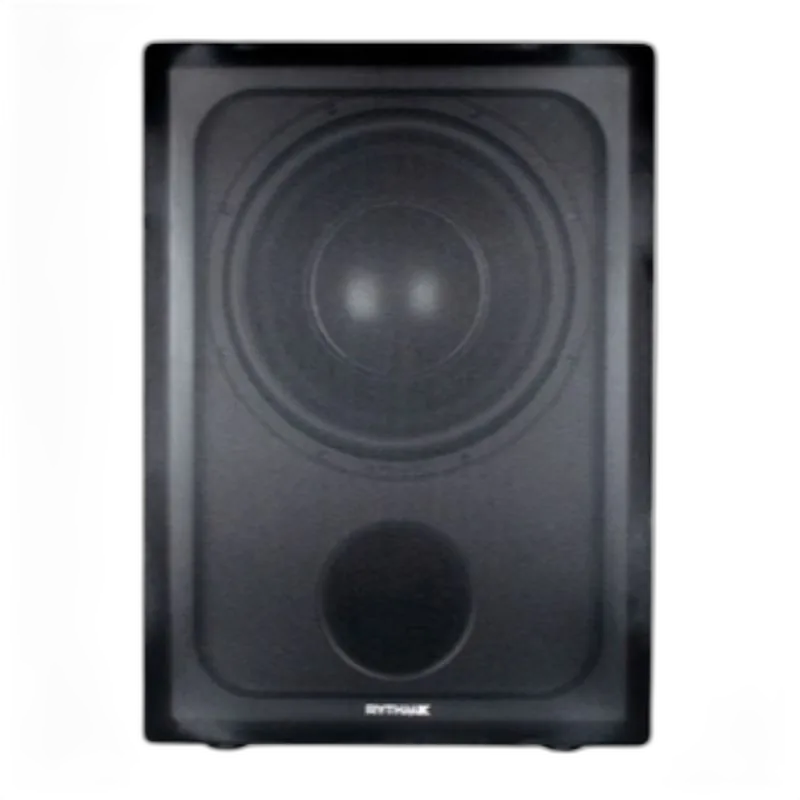 LV12F Direct Servo subwoofer