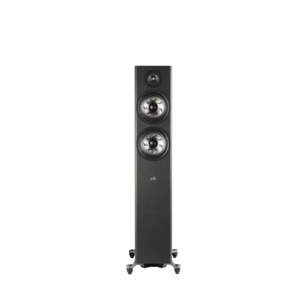 Alternative view of Polk Reserve R600