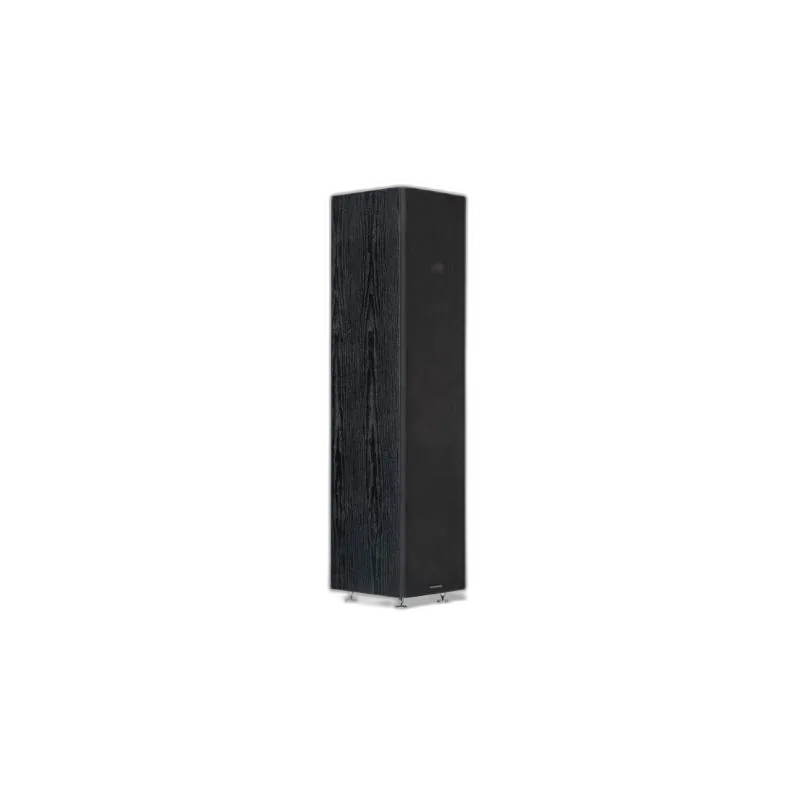 Alternative view of Sonus 3165