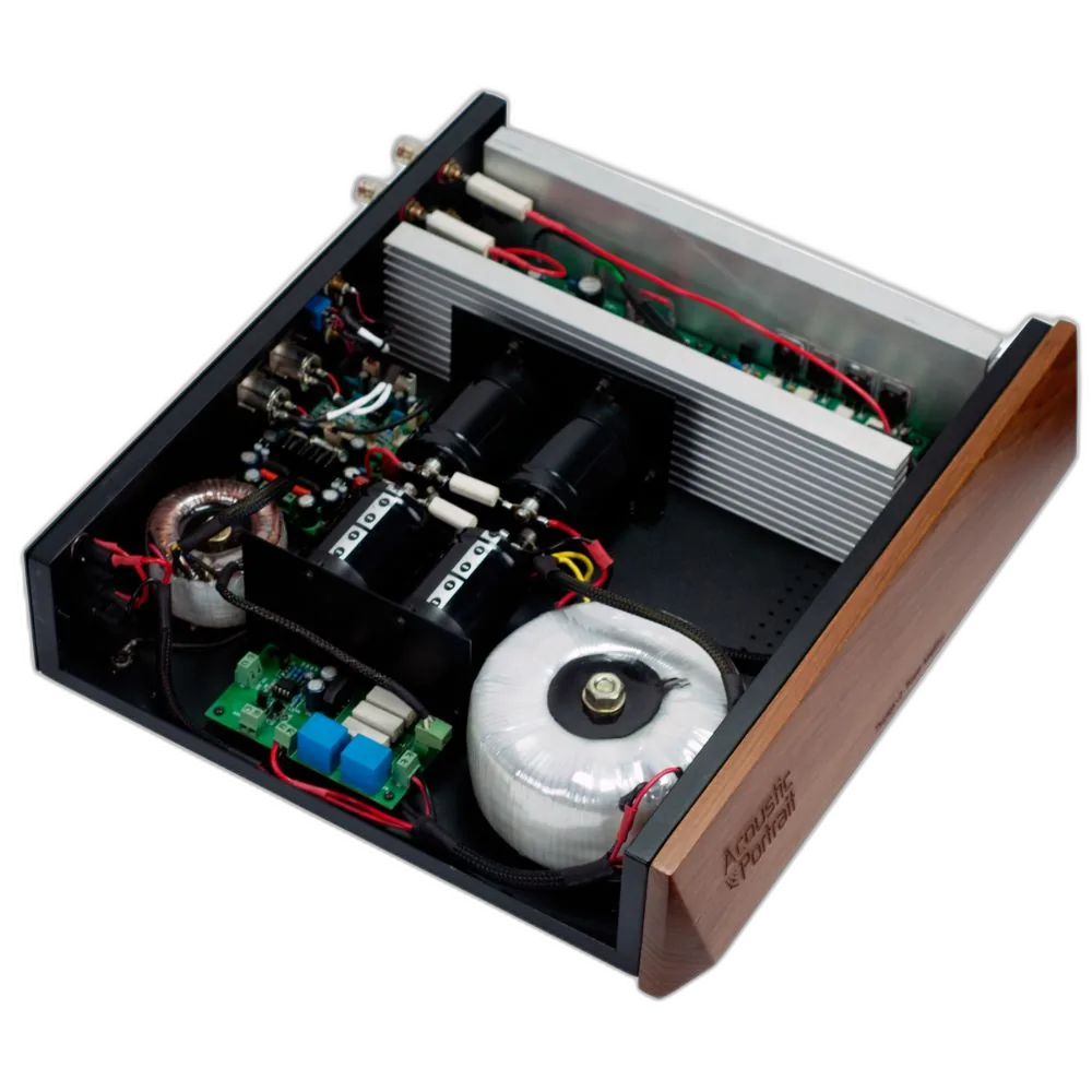 Alternative view of Acoustic Portrait - Thiyaga V2 - Power Amplifier